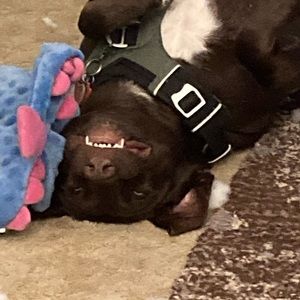 Meet your Posher, Jesse